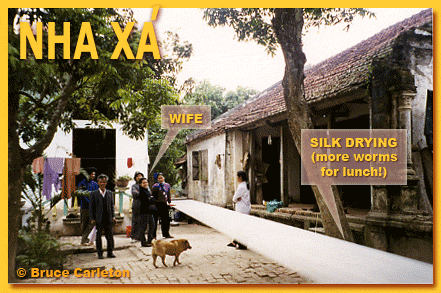 Nha Xa, northern Vietnam: silkworms have uses other than food!