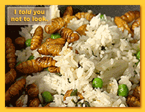 Fried silkworms on rice