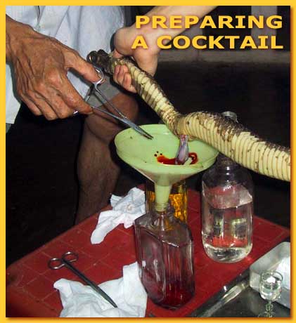 Preparing a Cobra Cocktail with a twist of gall bladder